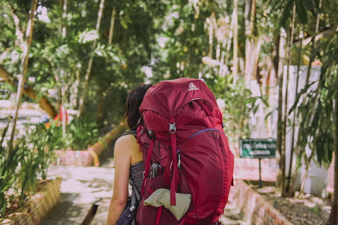 como escolher mochila de viagem