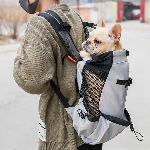 Mochila para Transportar Caes