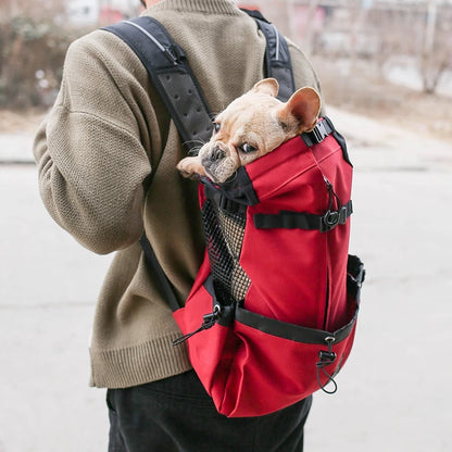 Mochila para Transportar Cães passeio